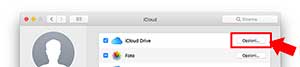 come-condividere-la-scrivania-del-mac-su-icloud